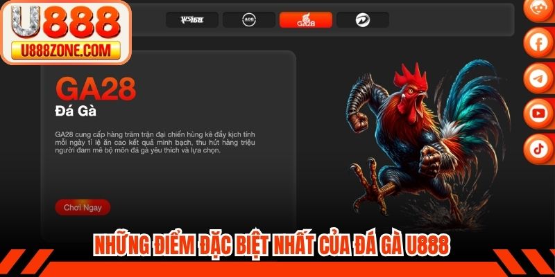 Những điểm đặc biệt nhất của đá gà U888